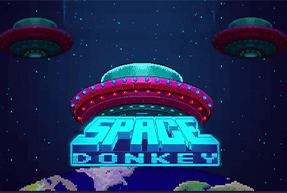 Space Donkey